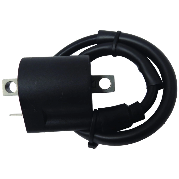 WCPS29_3_large.jpg