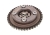 FE175346_1_large.jpg