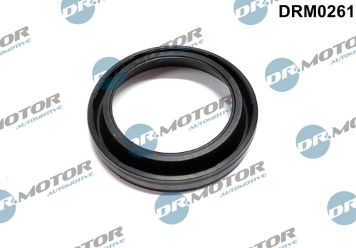 drm0261_large.jpg