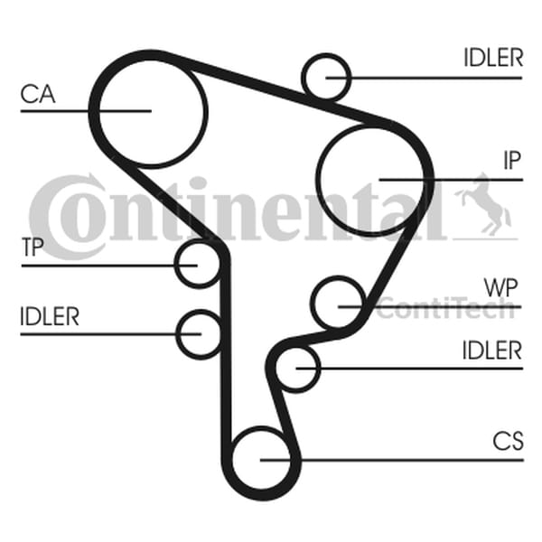 CT1044WP1_large.jpg