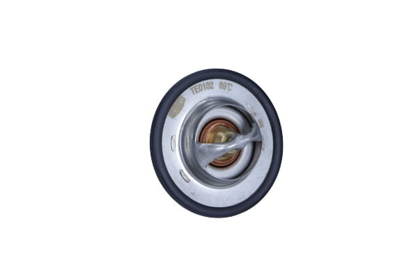 TE0102_1_large.jpg