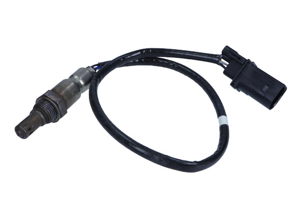 04E906262E_large.jpg