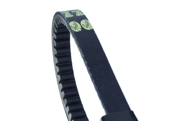 GAT21601_1_large.jpg