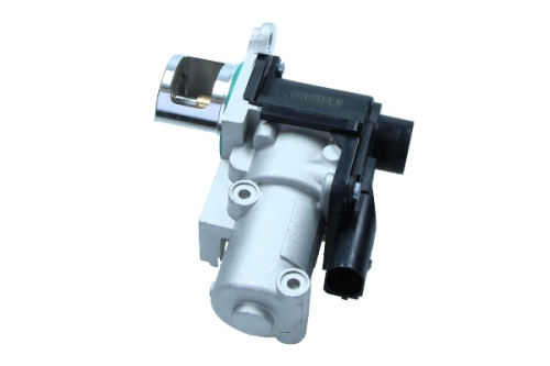 EGE5-D021_1_large.jpg