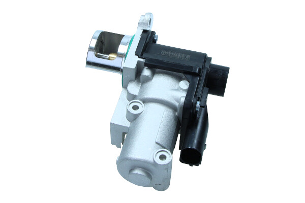 EGE5-D021_1_large.jpg
