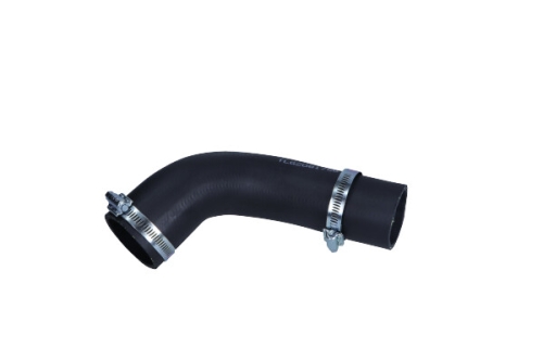 BUG81756_large.jpg