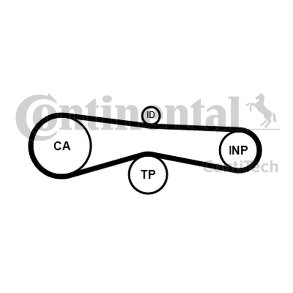 CT1131K1_large.jpg