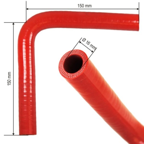 SIRT008_large.jpg