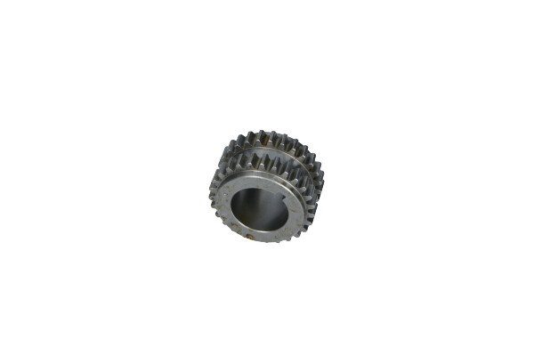 MN183895_1_large.jpg