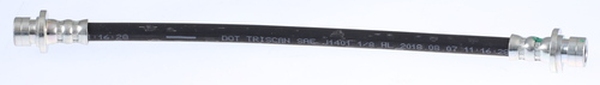 815040232_large.jpg
