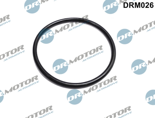 DRM026_large.jpg