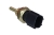 FE107544_1_large.jpg