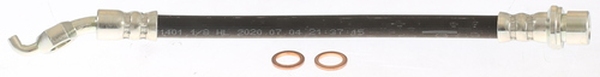 815013238_large.jpg