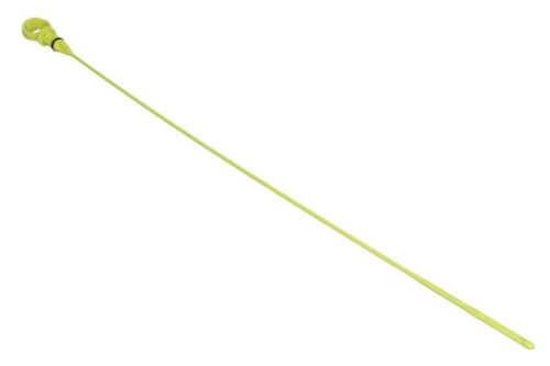 1255770_large.jpg