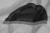 WOD000044_3_large.jpg