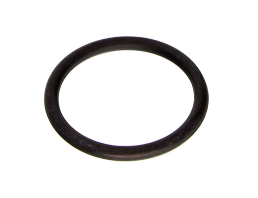 DRM01467_large.jpg