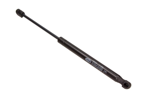 GS0110_large.jpg
