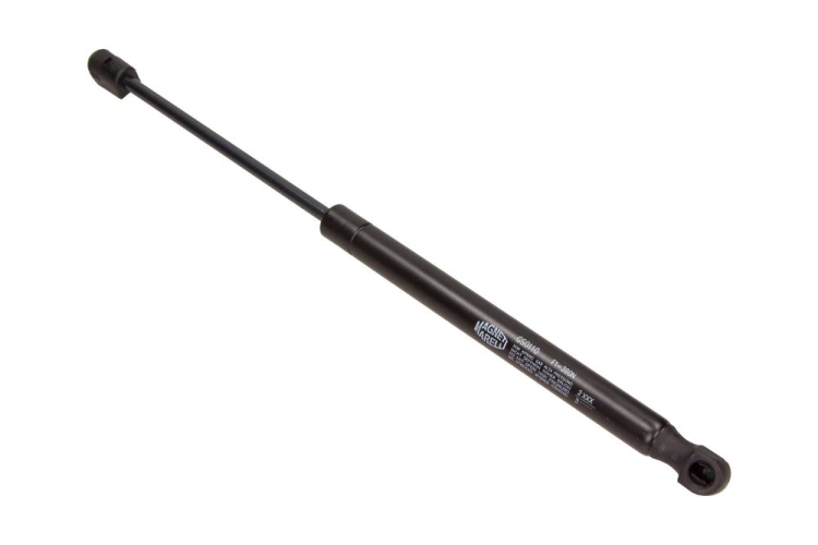 GS0110_large.jpg