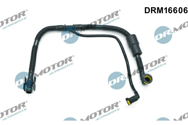 DRM16606_large.jpg